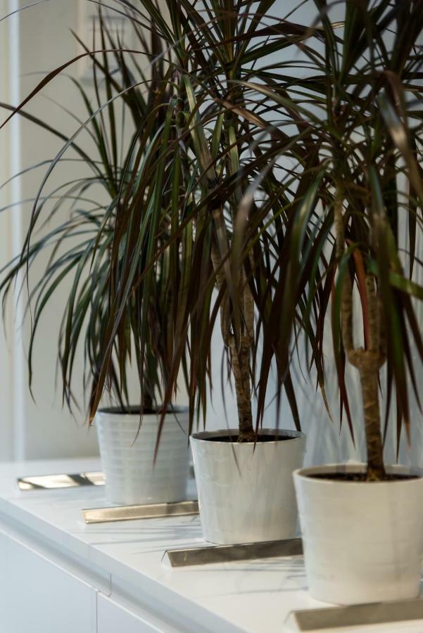 Central Cozy Studio With A Secret Garden Atenas Exterior foto